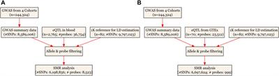 Exploring Potential Causal Genes for Uterine Leiomyomas: A Summary Data-Based Mendelian Randomization and FUMA Analysis